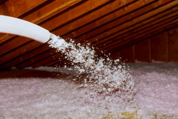 Best Local Insulation Services  in Arizona City, AZ